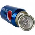 STASH PEP2